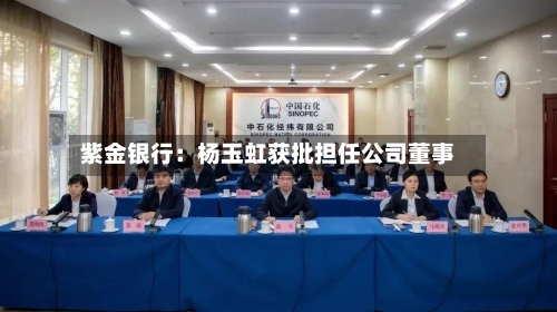 紫金银行：杨玉虹获批担任公司董事