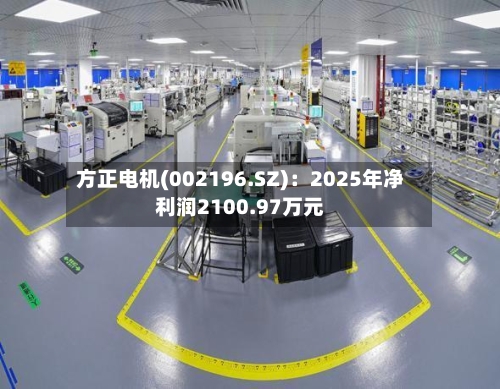 方正电机(002196.SZ)：2025年净利润2100.97万元