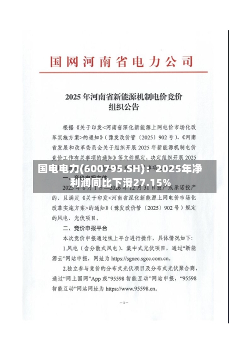 国电电力(600795.SH)：2025年净利润同比下滑27.15%