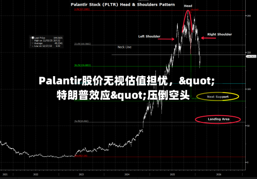 Palantir股价无视估值担忧	，"特朗普效应"压倒空头-第2张图片