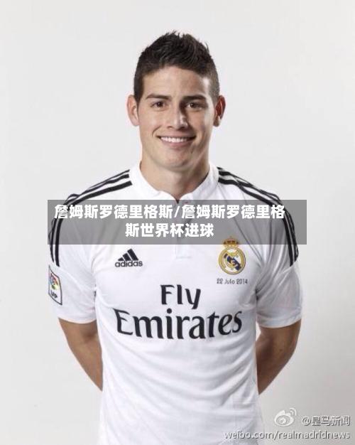 詹姆斯罗德里格斯/詹姆斯罗德里格斯世界杯进球