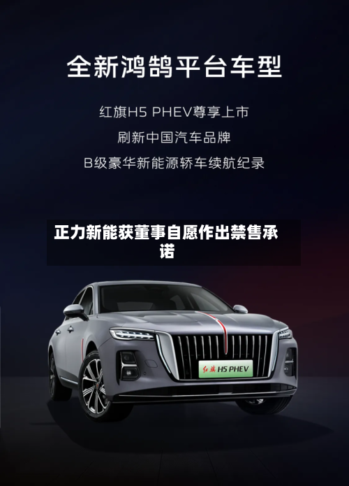 正力新能获董事自愿作出禁售承诺-第1张图片