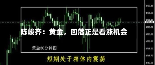 陈峻齐：黄金	，回落正是看涨机会-第3张图片