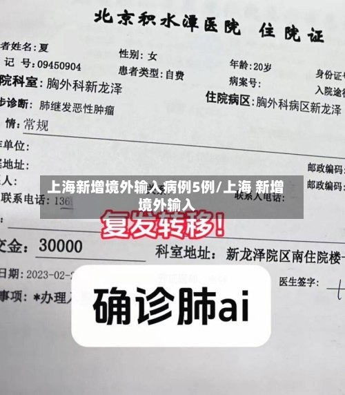 上海新增境外输入病例5例/上海 新增 境外输入-第1张图片