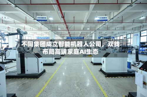 不同集团成立智能机器人公司，双线布局高端家庭AI生态-第1张图片