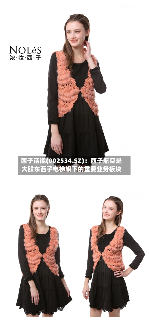 西子洁能(002534.SZ)：西子航空是大股东西子电梯旗下的重要业务板块-第1张图片