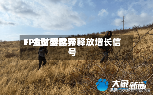 FPG财盛世界：金矿异常带释放增长信号-第2张图片