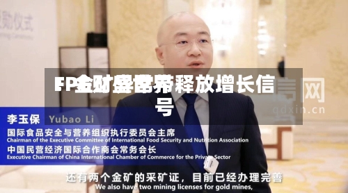 FPG财盛世界：金矿异常带释放增长信号-第3张图片