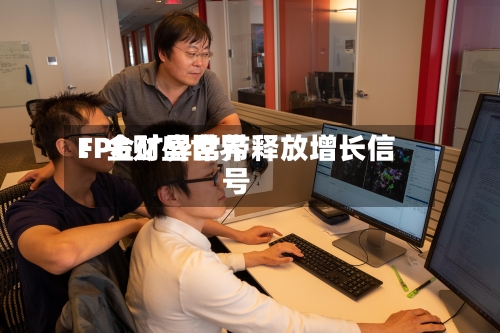 FPG财盛世界：金矿异常带释放增长信号-第1张图片