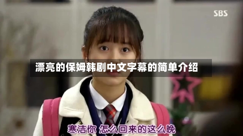 漂亮的保姆韩剧中文字幕的简单介绍-第2张图片