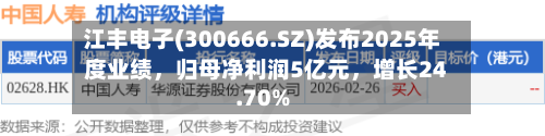 江丰电子(300666.SZ)发布2025年度业绩，归母净利润5亿元，增长24.70%