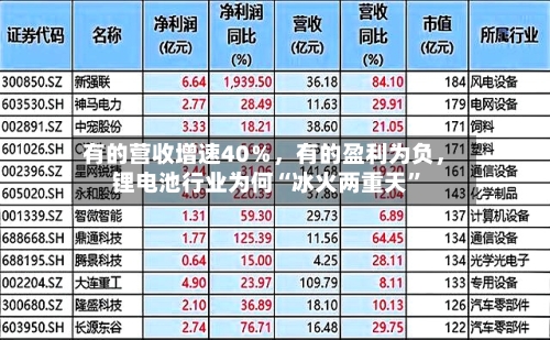 有的营收增速40％，有的盈利为负，锂电池行业为何“冰火两重天”-第3张图片