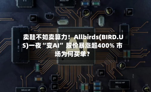 卖鞋不如卖算力！Allbirds(BIRD.US)一夜“变AI” 股价暴涨超400% 市场为何买单？-第2张图片