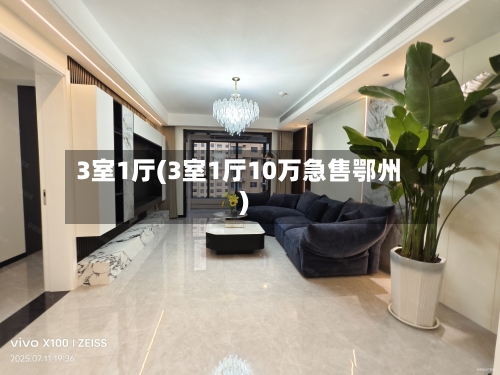 3室1厅(3室1厅10万急售鄂州)-第2张图片