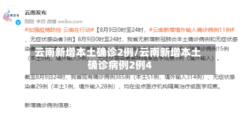 云南新增本土确诊2例/云南新增本土确诊病例2例4