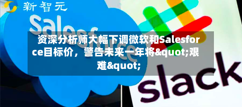 资深分析师大幅下调微软和Salesforce目标价	，警告未来一年将"艰难"-第2张图片