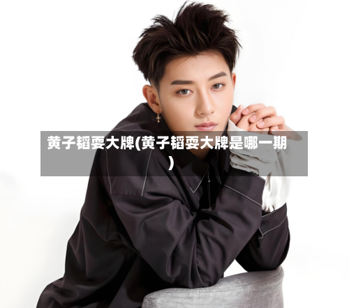 黄子韬耍大牌(黄子韬耍大牌是哪一期)-第2张图片