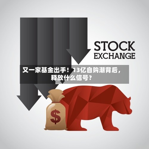 又一家基金出手！13亿自购潮背后	，释放什么信号？-第2张图片