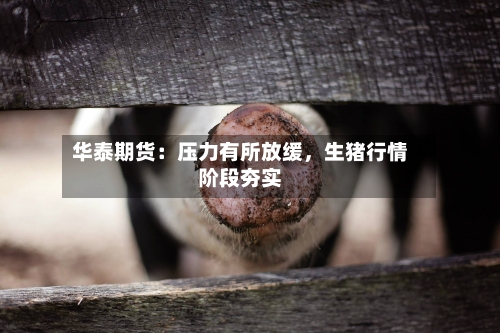 华泰期货：压力有所放缓，生猪行情阶段夯实-第1张图片