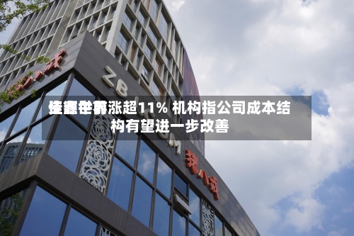 佳鑫世界资源午前涨超11% 机构指公司成本结构有望进一步改善-第1张图片