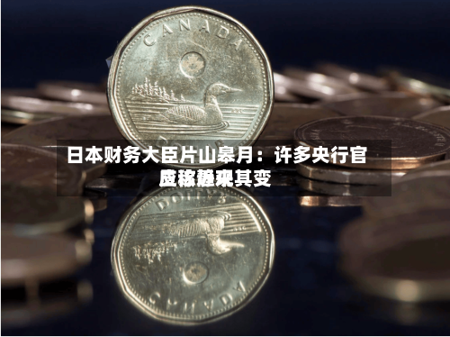 日本财务大臣片山皋月：许多央行官员称近来应该静观其变