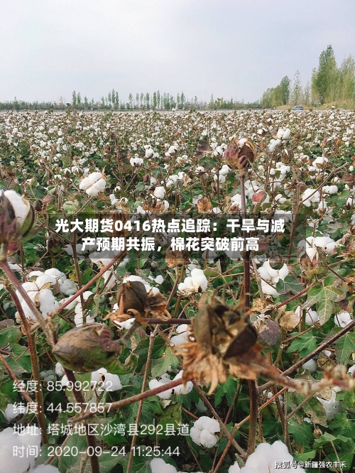 光大期货0416热点追踪：干旱与减产预期共振，棉花突破前高-第1张图片