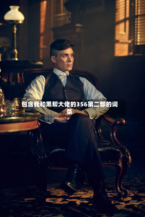 包含我和黑帮大佬的356第二部的词条-第2张图片