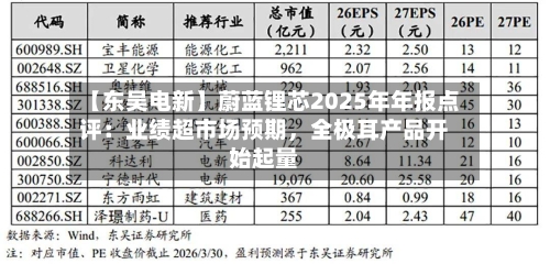 【东吴电新】蔚蓝锂芯2025年年报点评：业绩超市场预期	，全极耳产品开始起量-第1张图片