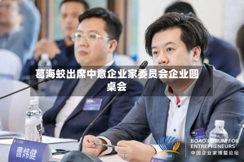 葛海蛟出席中意企业家委员会企业圆桌会-第1张图片