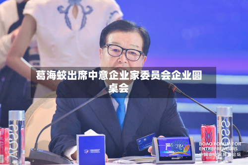 葛海蛟出席中意企业家委员会企业圆桌会-第3张图片