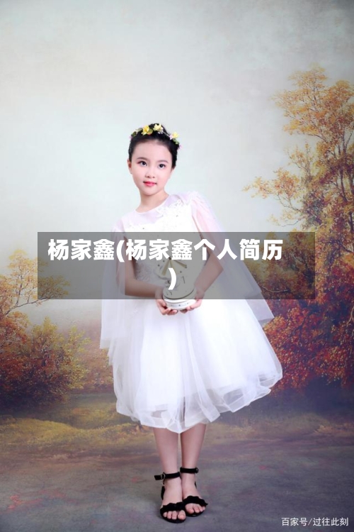 杨家鑫(杨家鑫个人简历)-第1张图片