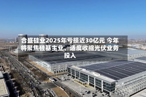 合盛硅业2025年亏损近30亿元 今年将聚焦硅基主业、适度收缩光伏业务投入-第2张图片