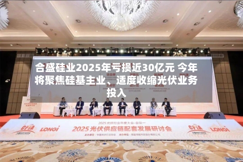 合盛硅业2025年亏损近30亿元 今年将聚焦硅基主业、适度收缩光伏业务投入-第3张图片