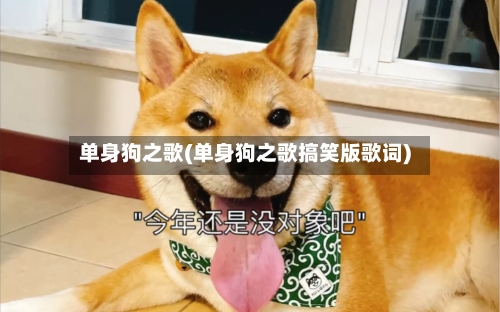 单身狗之歌(单身狗之歌搞笑版歌词)-第1张图片