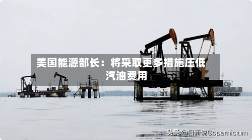 美国能源部长：将采取更多措施压低汽油费用-第1张图片