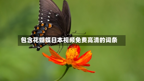 包含花蝴蝶日本视频免费高清的词条-第2张图片