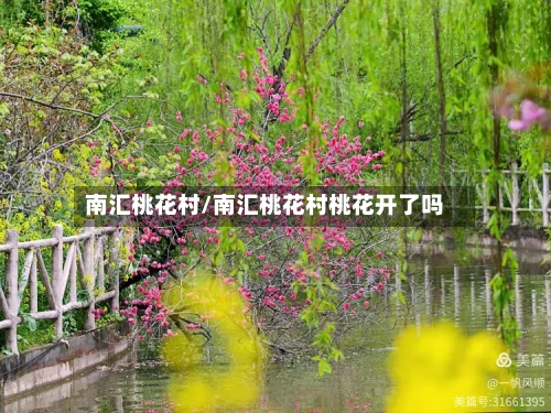南汇桃花村/南汇桃花村桃花开了吗-第1张图片