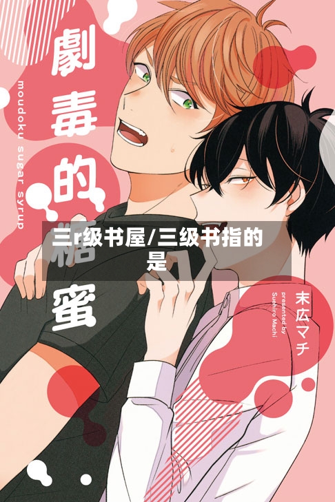 三r级书屋/三级书指的是-第2张图片