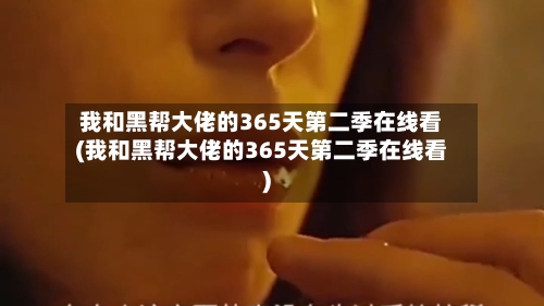 我和黑帮大佬的365天第二季在线看(我和黑帮大佬的365天第二季在线看)-第3张图片