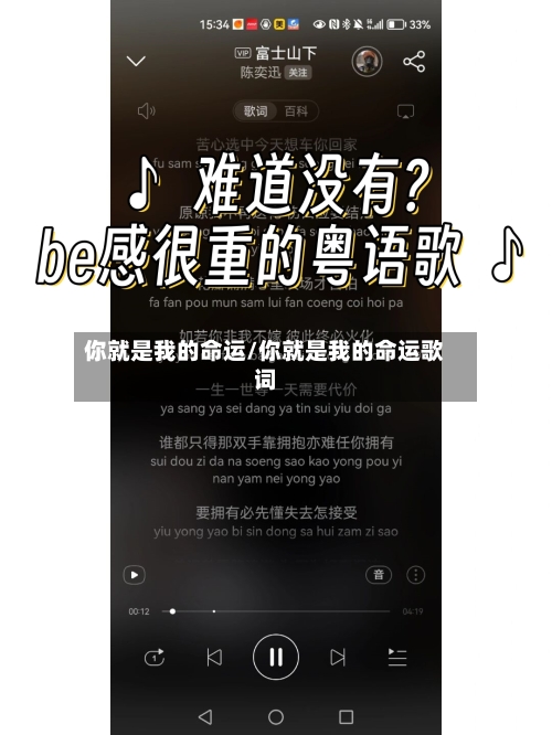 你就是我的命运/你就是我的命运歌词-第1张图片