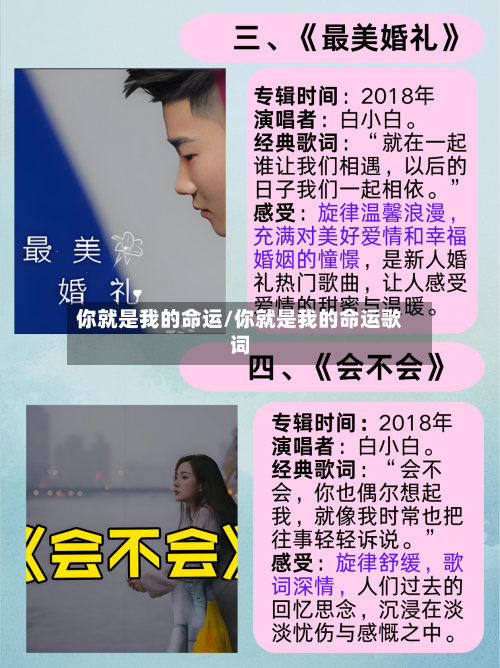 你就是我的命运/你就是我的命运歌词-第3张图片