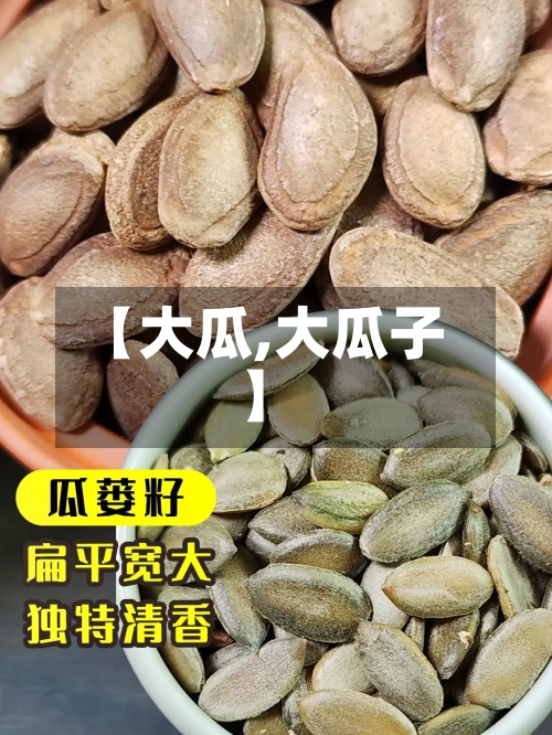 【大瓜,大瓜子】-第1张图片
