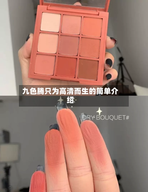 九色腾只为高清而生的简单介绍-第1张图片