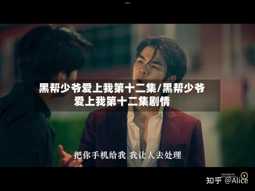 黑帮少爷爱上我第十二集/黑帮少爷爱上我第十二集剧情-第2张图片