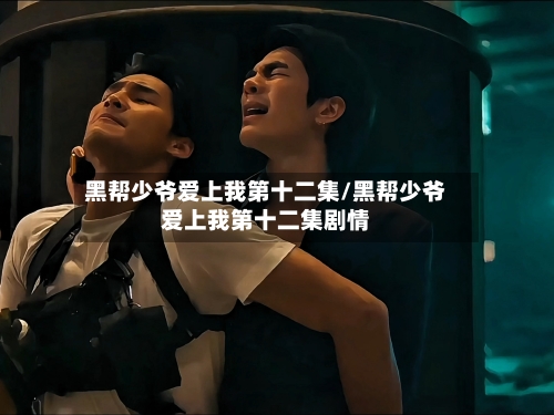 黑帮少爷爱上我第十二集/黑帮少爷爱上我第十二集剧情-第3张图片