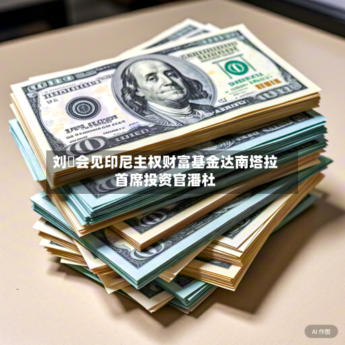 刘珺会见印尼主权财富基金达南塔拉首席投资官潘杜-第1张图片