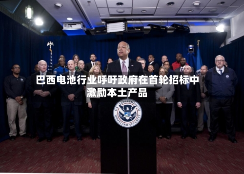 巴西电池行业呼吁政府在首轮招标中激励本土产品-第3张图片