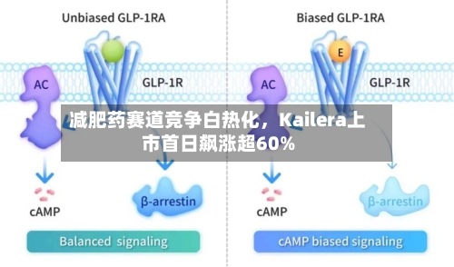 减肥药赛道竞争白热化	，Kailera上市首日飙涨超60%-第3张图片