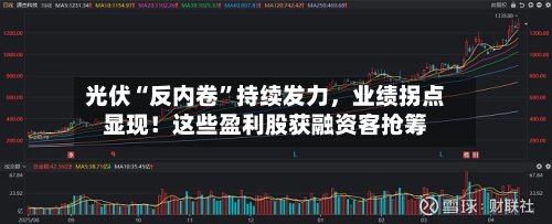 光伏“反内卷”持续发力，业绩拐点显现！这些盈利股获融资客抢筹-第1张图片