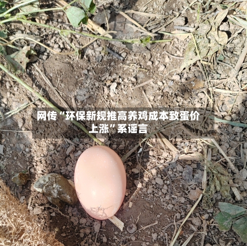 网传“环保新规推高养鸡成本致蛋价上涨”系谣言-第3张图片